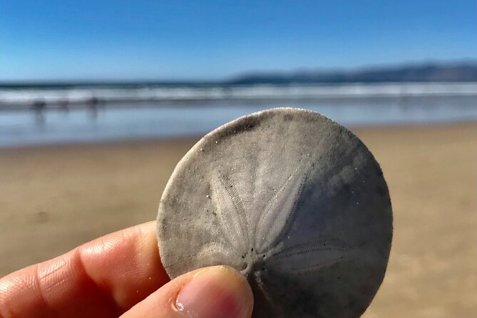 A La La Tour - Private Tour of Californias Central Coast - Sum Up