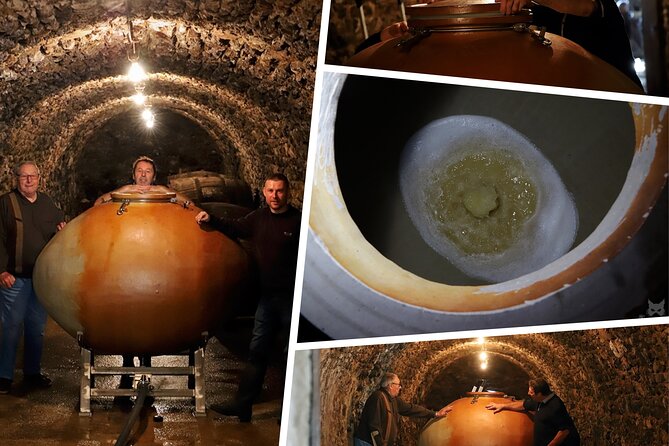 A Unique Sensory Experience in the Vineyards - Cancellation and Flexibility