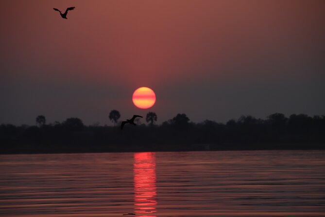 Adrenaline Jet Boat Safari in Victoria Falls - Frequently Asked Questions