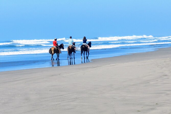 AfroMexican Village Experience-Horseback Ride-Turtle Hatch &Crocs - Baby Turtle Release Adventure