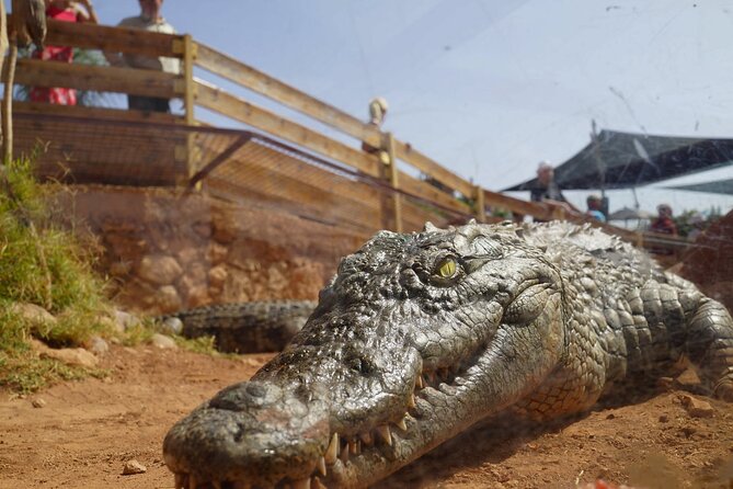 Agadir Crocodile Park Adventure - Additional Considerations