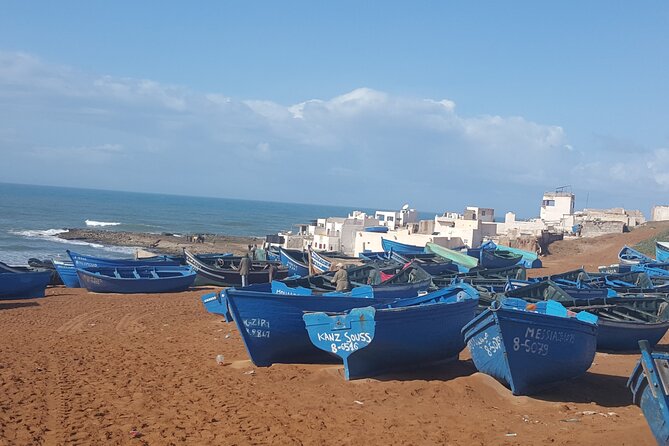 Agadir Day Excursion to Mini Sahara Safari National Park Souss Massa by 4x4 - Tour Company Considerations