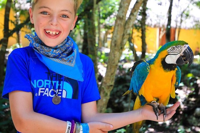 Akumal Monkey Sanctuary - Visitor Recommendations