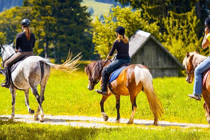 Alanya Horse Riding Experience With Free Hotel Transfer - Tips for an Enjoyable Ride