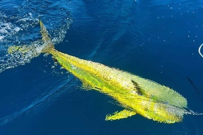 Alcántara Private Experience Charter Fishing/Walking - Booking and Confirmation