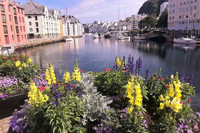Alesund Sightseeing Tour Review: A Perfect Adventure - Since You Asked