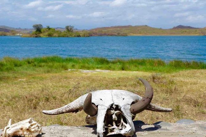 Arusha National Park Day Trip - Booking and Preparation