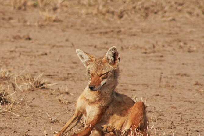 Awash National Park Tours - Booking and Cancellation Policy