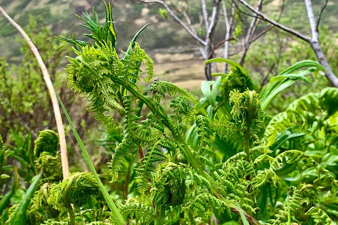 Backcountry Eats & Foraging Treats - Location and Meeting Point