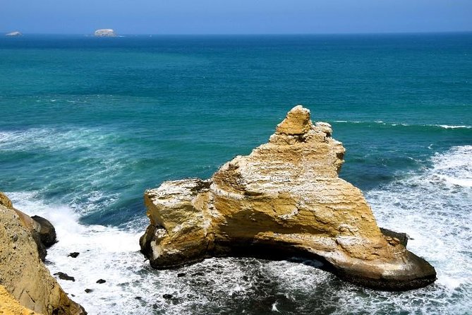 Ballestas and Paracas From Lima by Bus - Booking and Pricing