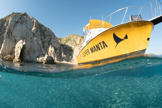 Beginner Scuba Diving in Cabo San Lucas - About the Provider