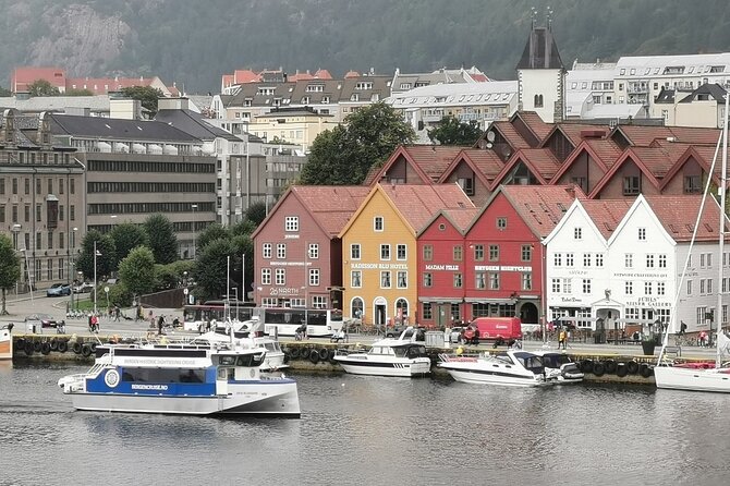 Bergen Fjord Cruise to Alversund Streams Review - Since You Asked