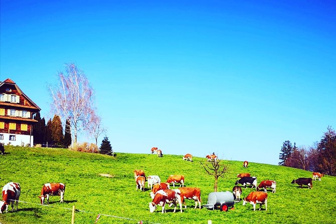Bern and Emmental in a Day - Booking Details and Considerations