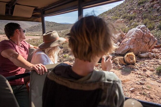Big Five Safari Experience Near Cape Town ,South Africa - Participant Testimonials
