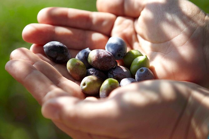 Bio Farm Private Olive Oil Tasting, Farm to Fork Meal & Temple of Poseidon Tour - Booking and Cancellation Policies