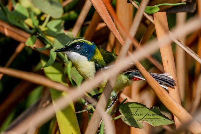 Birdwatching at Huacarpay Wetland in Cusco - Additional Tour Offerings