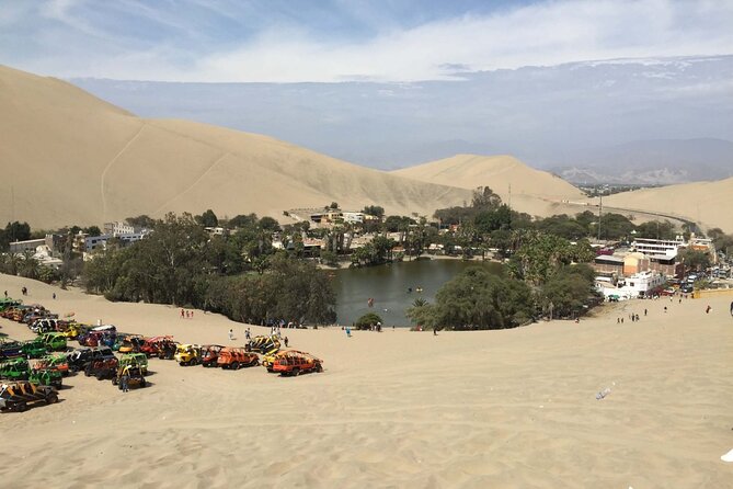 Birdwatching & Landscaping Tour in Lima - Positive Guest Reviews