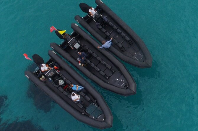 Boat Excursion - Nice/St Jean Cap Ferrat 1H30 - Intimate Group Experience