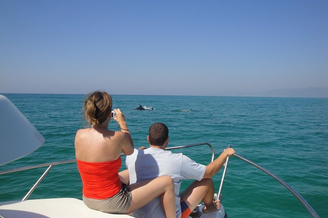 Boat Trip for Dolphin Watching Along the Arrabida Coast and Sesimbra - What to Expect on the Tour