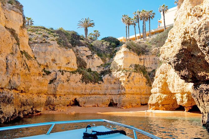 Boat Trip Through the 15 Caves of Benagil Review - Since You Asked