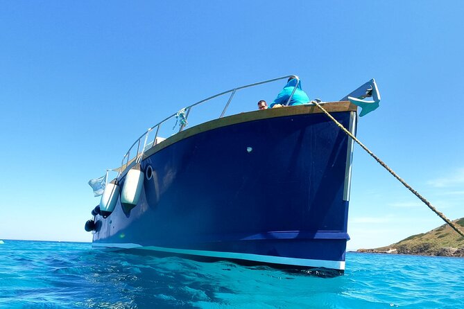 Boat Trip to Asinara With Lunch in Stintino - Accessibility and Restrictions