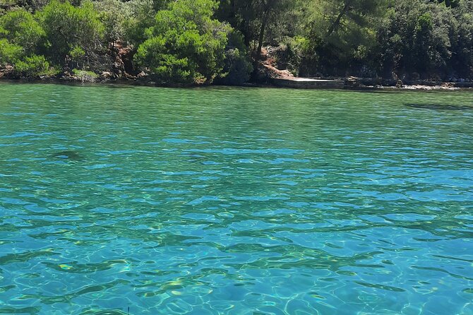 Boat Trip to the Nearby Islands of Zadar - Booking and Pricing