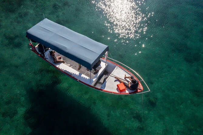 Boating Along the Coastline of San Carlos With a Marine Biologist - Unique Boat Rides and Wildlife