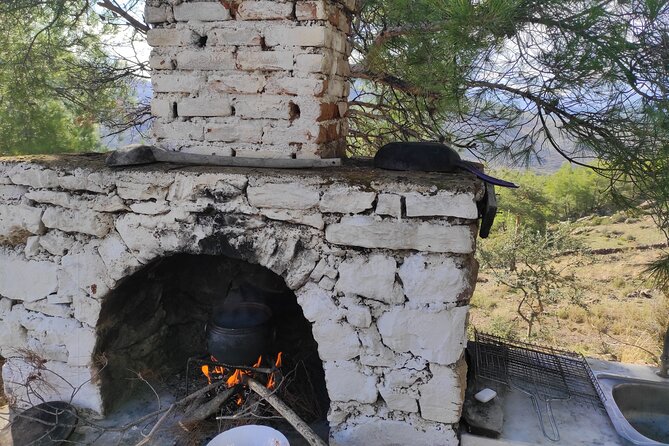 Bodrum Rustic Lunch and Olive Tasting Tour - Pricing and Reviews