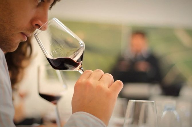 Bordeaux: Wine Tour and Tasting - Exploring Bordeaux Beyond Wine