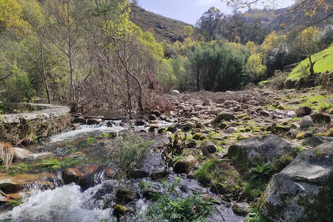Breathtaking Nature in Gerês Park - Private Tour From Porto - The Sum Up