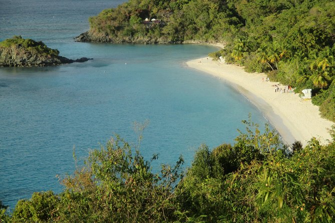 Budget Trunk Bay With Scenic Stops - Experience Details