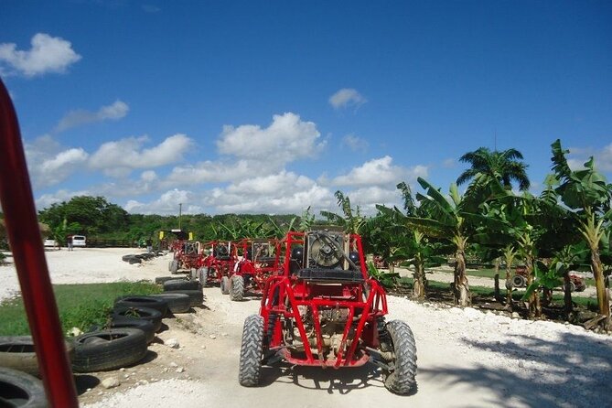 Buggies Half Day Experience and Cenote - Suggested Improvements
