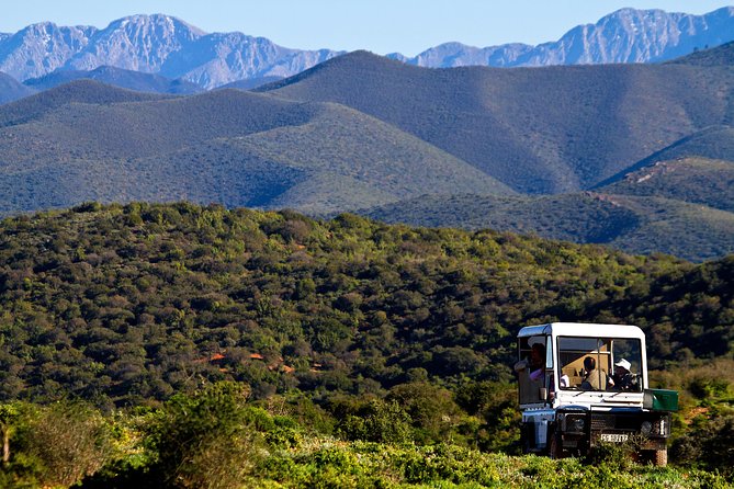 Bush Safari - Frequently Asked Questions