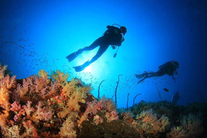 Cabo San Lucas PADI Open Water Certified Diver Course - Certification and Qualifications