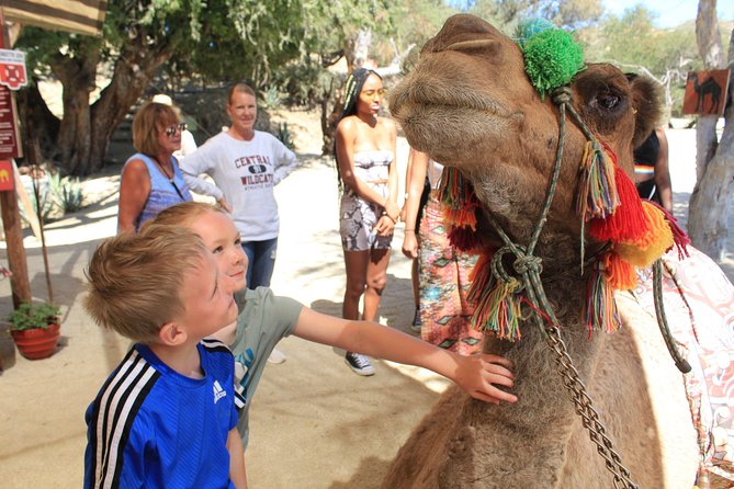Camel Quest With Snacks & Waterslides - Positive Traveler Feedback