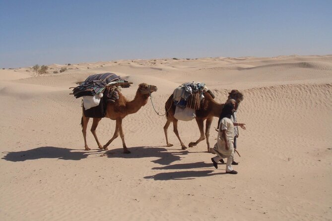 Camel Ride and 1 Night in the Desert - Frequently Asked Questions