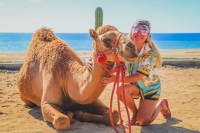 Camel Ride and UTV Combo Adventure, With Tequila Tasting - Tequila Tasting Experience