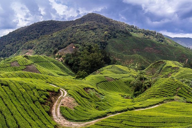 Cameron Highlands Tour With Lunch on Private Basis - Booking Process