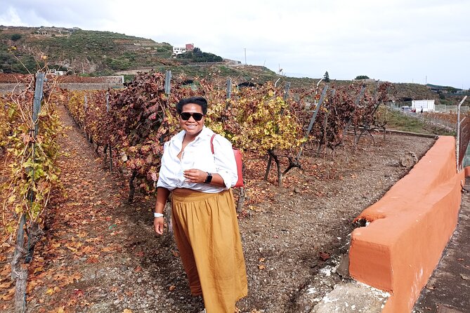 Canarian Wine and Tapas Tasting Private Tour - Private Transportation