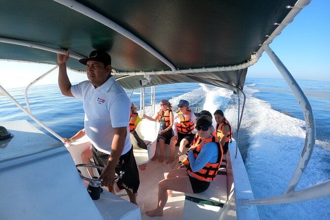 Cancun Whale Shark Experience With Snorkel & Transportation - Frequently Asked Questions