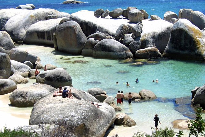 Cape Point Explore With Boulders Penguins Small Group Day Tour - Booking and Safety Tips