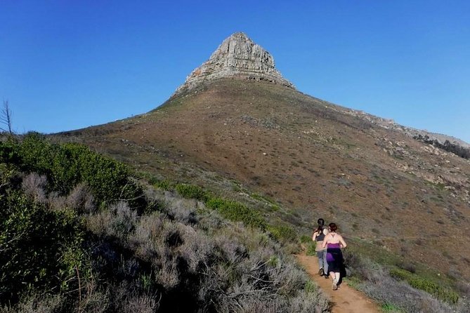 Cape Town Trail Run Lions Head Signal Hill Morning - Frequently Asked Questions