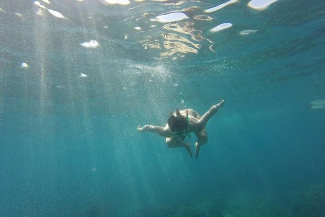 Catalina Island & Snorkeling Full-day Trip - Traveler Feedback and Considerations