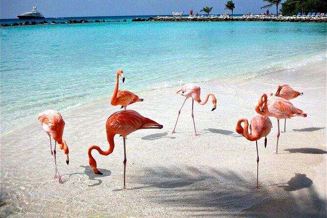 Celestun Beach and Mangrove Boat Ride From Merida - Pickup and Transportation