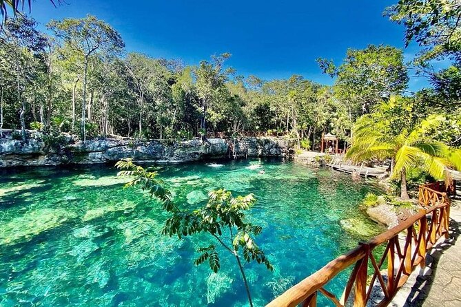 CENOTE Day! With Transportation From Cancun, Playa DC or Tulum - Frequently Asked Questions