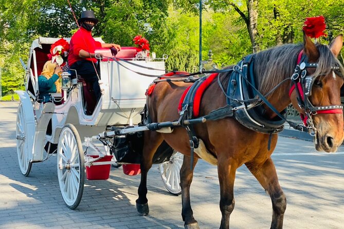 Central Park Horse and Carriage Rides - Additional Activities in Central Park