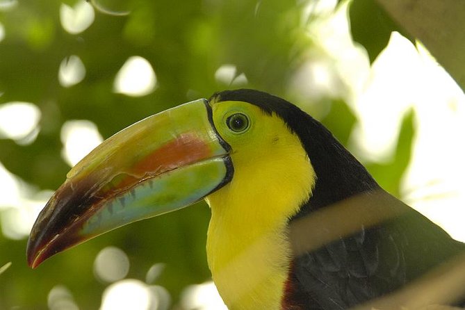 Central Park Zoo Admission Ticket With 4D Theater Access - Planning Your Visit