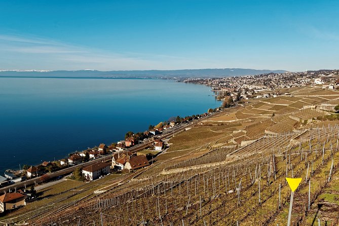 Cheese, Chocolate and Wine in the Bern Region From Luzern - Additional Considerations