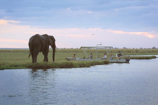 Chobe Half Day Trip - Booking and Cancellation Policy