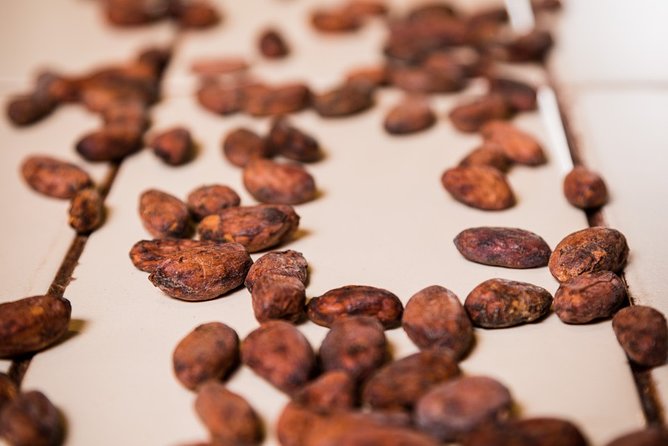 Chocolate Making Class From the Cocoa Bean to the Bar at Chocomuseo in Cusco - Booking and Cancellation Policies